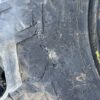 Pirelli TM700 420/70R24 - Image 10