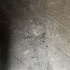 Michelin XM37 440/70R24 (17.5LR24) - Image 9