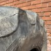 BKT Agrimax RT855 520/85R38 (20.8R38) - Image 11