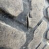 Firestone Utility Duraforce 460/70R24 (17.5LR24) - Image 10