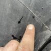 Trelleborg TM600 460/85R38 (18.4R38) - Image 16