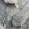 Trelleborg TM600 460/85R38 (18.4R38) - Image 17