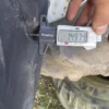 Firestone Utility R8000 400/70R24 (16.0/70R24) - Image 13