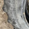 Firestone Performer 420/85R34 (16.9R34) - Image 11