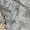 Firestone Performer 420/85R34 (16.9R34) - Image 12