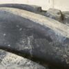 Michelin Multibib 650/65R42 - Image 5