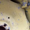 15x38 8 stud John Deere rims - Image 7