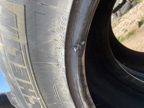 Michelin Axiobib IF 620/75R30 - Image 11